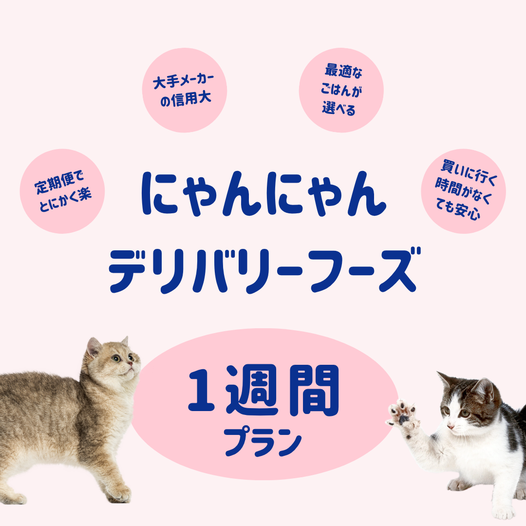 【1週間プラン】にゃんにゃんデリバリーフーズ