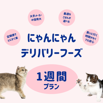【1週間プラン】にゃんにゃんデリバリーフーズ