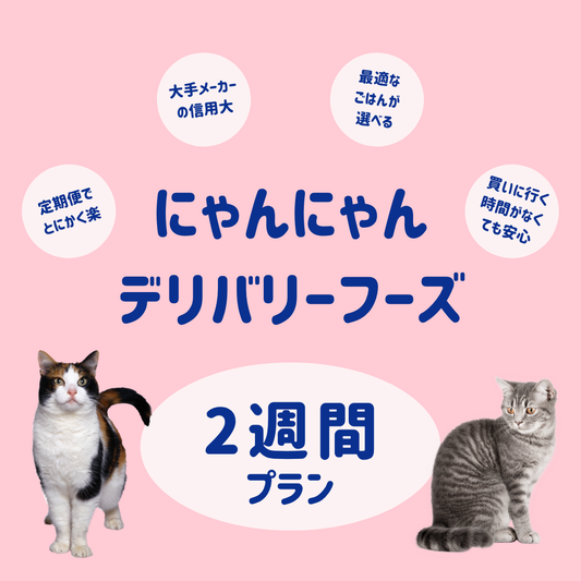 【2週間プラン】にゃんにゃんデリバリーフーズ