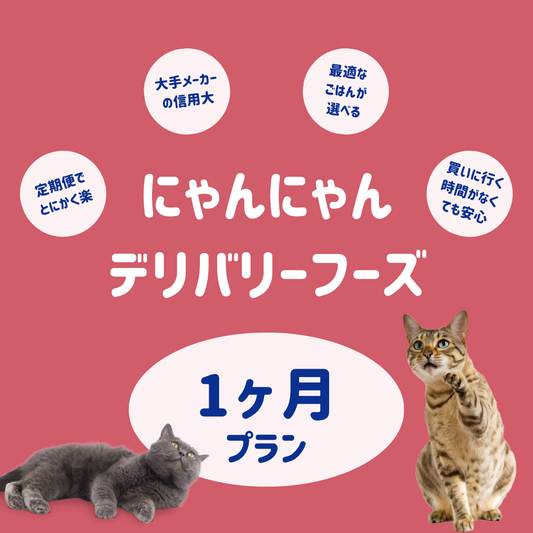 【1ヶ月プラン】にゃんにゃんデリバリーフーズ