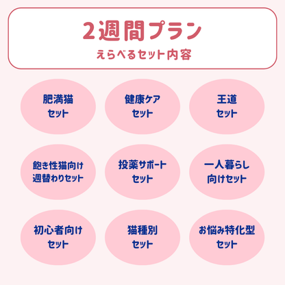 【2週間プラン】にゃんにゃんデリバリーフーズ