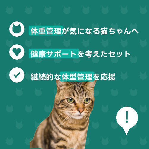 にゃんこダイエット便 特徴