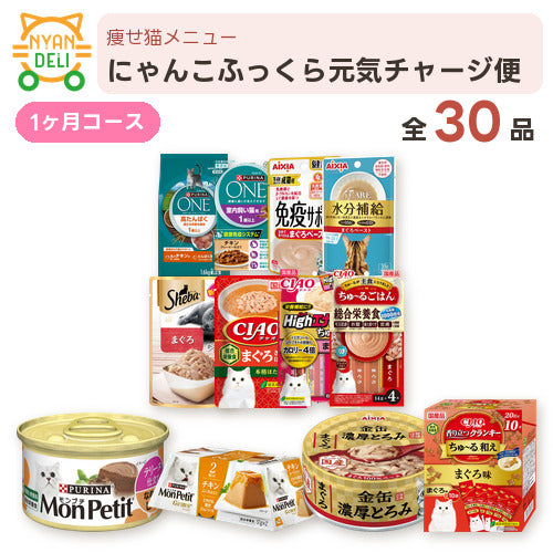 にゃんこふっくら元気チャージ便 商品セット内容