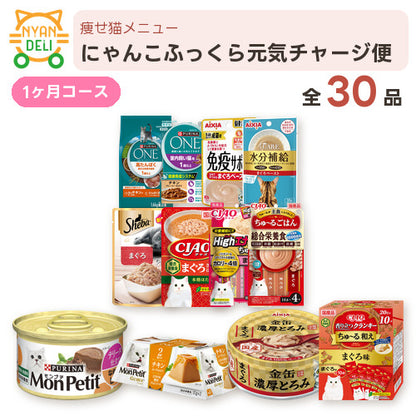 にゃんこふっくら元気チャージ便 商品セット内容