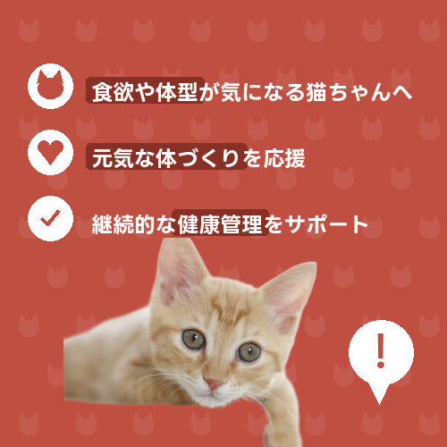 にゃんこふっくら元気チャージ便 特徴