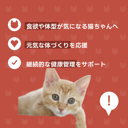 にゃんこふっくら元気チャージ便 特徴