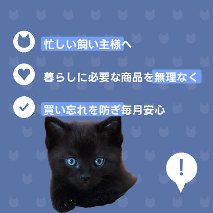 にゃんこ一人暮らし応援便 特徴