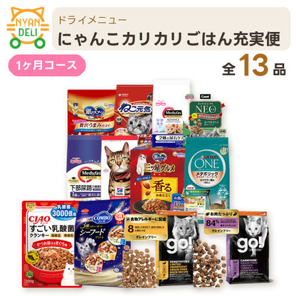 にゃんこカリカリごはん充実便 商品セット内容