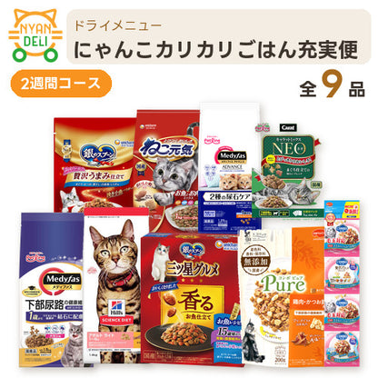 にゃんこカリカリごはん充実便（2週間） 商品セット内容