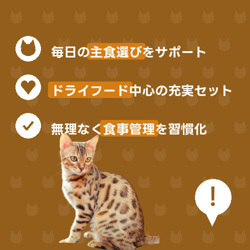 にゃんこカリカリごはん充実便 特徴