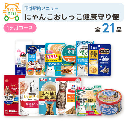 にゃんこおしっこ健康守り便 商品セット内容