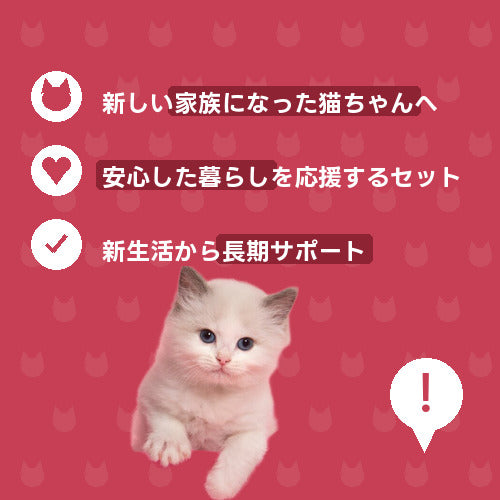 にゃんこ幸せ生活スタート便 特徴
