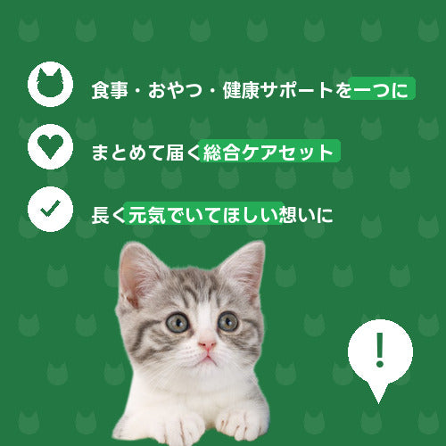 にゃんこずっと元気応援便（1週間） 特徴