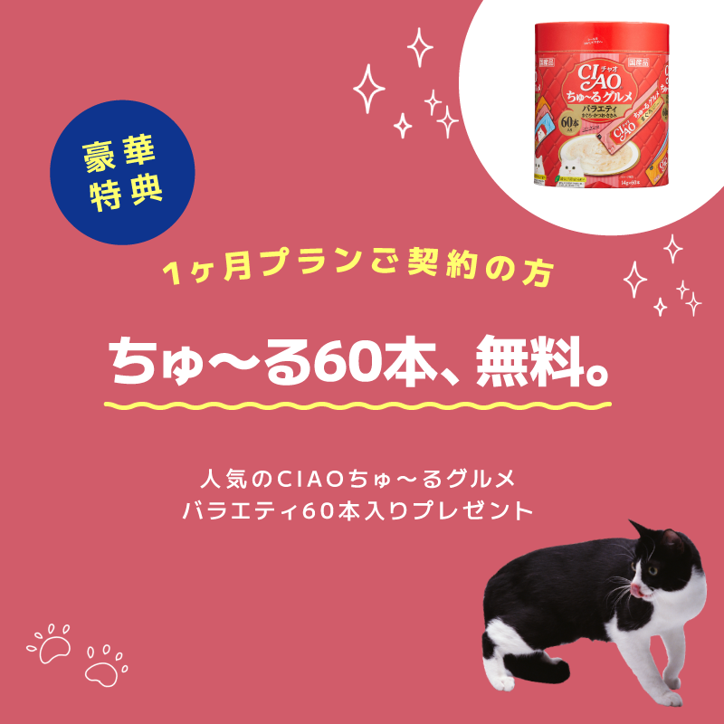【1ヶ月プラン】にゃんにゃんデリバリーフーズ